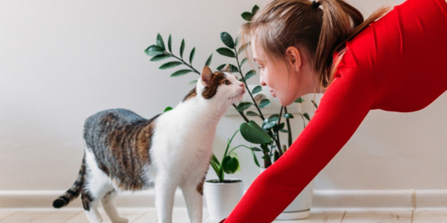 Mujer practicando yoga en su casa junto a su gato.