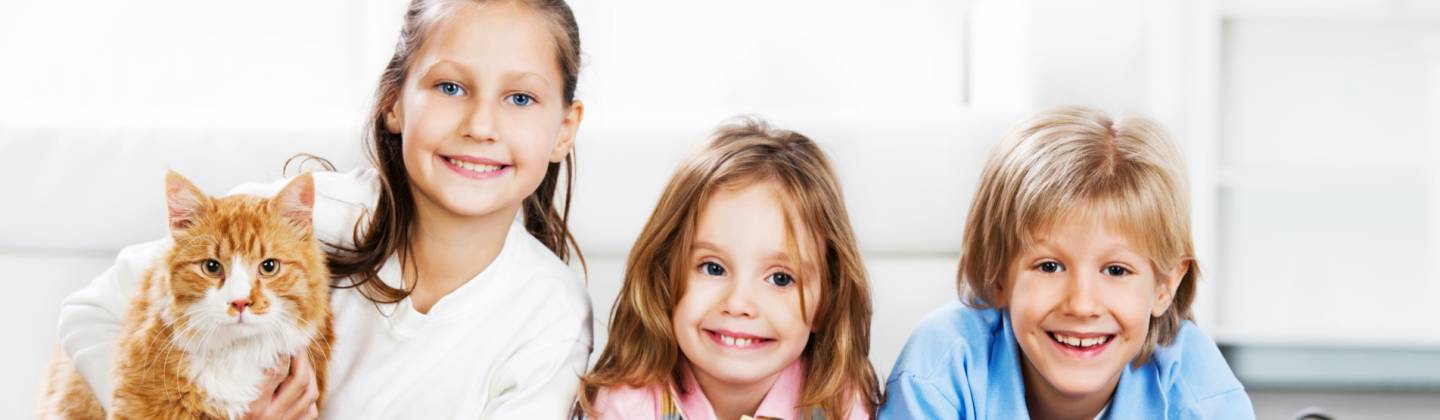 Tres niños sonriendo y al lado está un gato