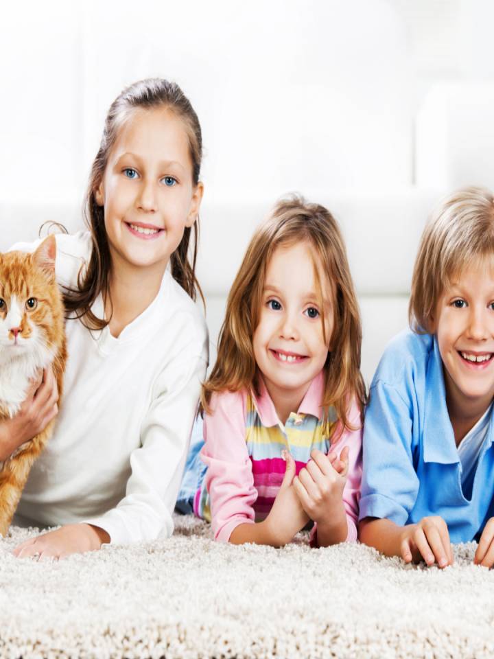 Tres niños sonriendo y al lado está un gato